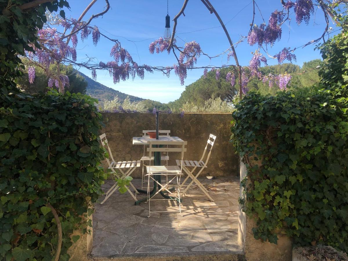 La Picholine En Provence Nyons Exterior foto
